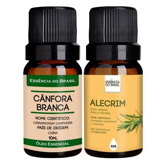 Imagem de Kit Óleo Essencial Cânfora + Alecrim 10ml - Brasil