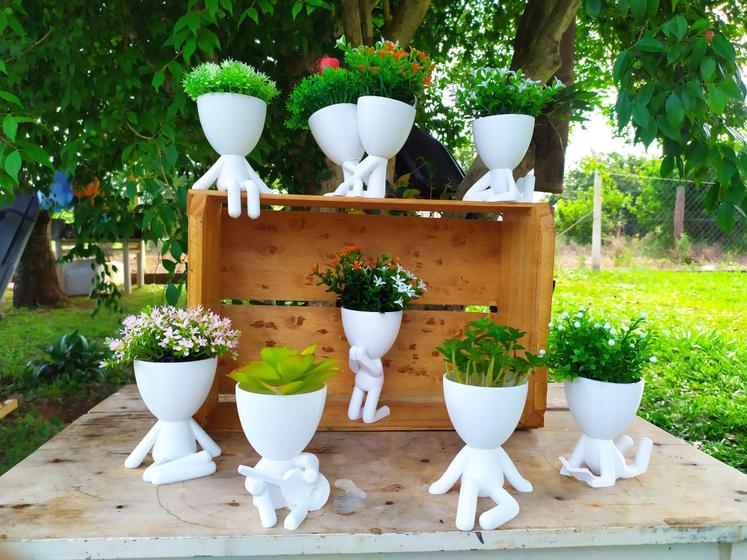 Imagem de Kit Para 9 Suculentas Vasos Decorativos Robert Plant Bob
