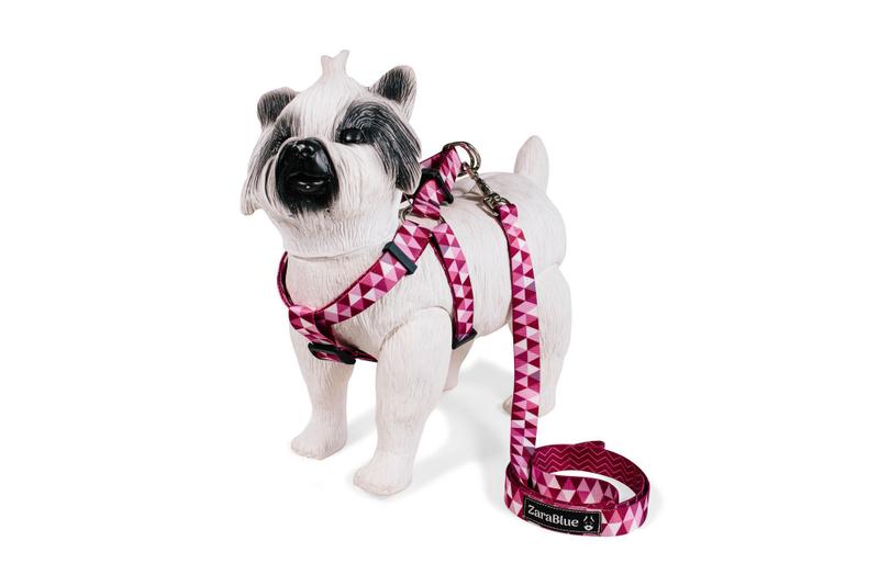 Kit Peitoral e Guia para Cachorro Passeio ZaraBlue Menor preço em Kit Peitoral e Guia para Cachorro Passeio ZaraBlue