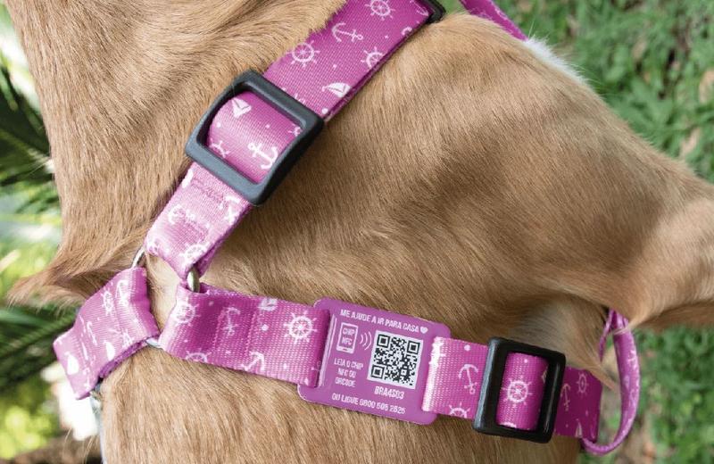 Kit Peitoral E Guia Para Cães Gatos C/chip Nfc/qrcode Tam M Menor preço em Kit Peitoral E Guia Para Cães Gatos C/chip Nfc/qrcode Tam M