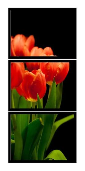 Imagem de kit quadro decorativo 3 peças flores jardim vermelhas vertical decoração