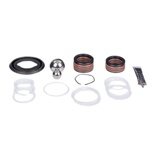 Imagem de Kit Reparo da Bomba Xtreme 220cc - 25D236 Original Graco