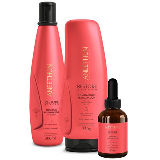 Imagem de Kit Shampoo Booster e Finalizador Aneethun Restore System