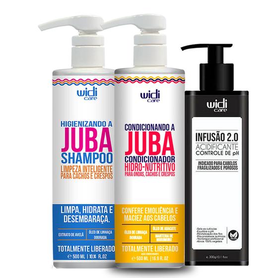 Kit Shampoo, Condicionador Juba, Acidificante Widi Care - Kit de ...