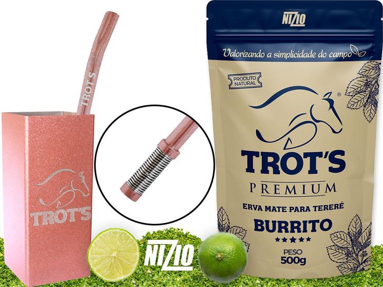 Imagem de Kit Terere Rosa Copo Quadrado Bomba Mola Regulável + Burrito