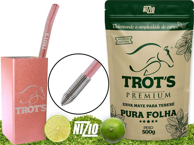 Imagem de Kit Terere Rosa Inox Copo Quadrado Bomba Mola Pura Folha