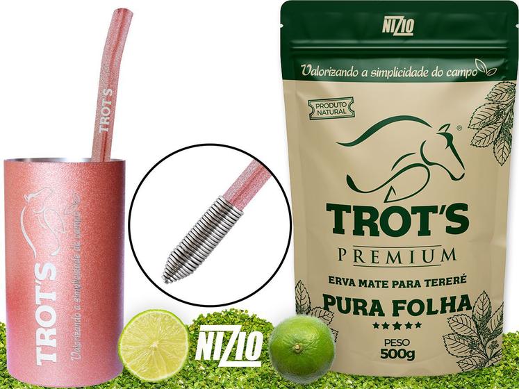 Imagem de Kit Terere Rosa Inox Copo Redondo Bomba Mola Pura Folha