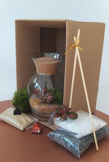 Kit Terrário M - Faça você mesmo! - Lis Gardens Terrários Imagem de Kit Terrário M - Faça você mesmo!