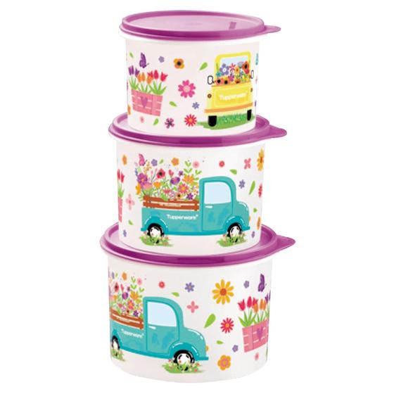 Imagem de Kit Tupperware Caixas Caminho das Flores 3 Peças