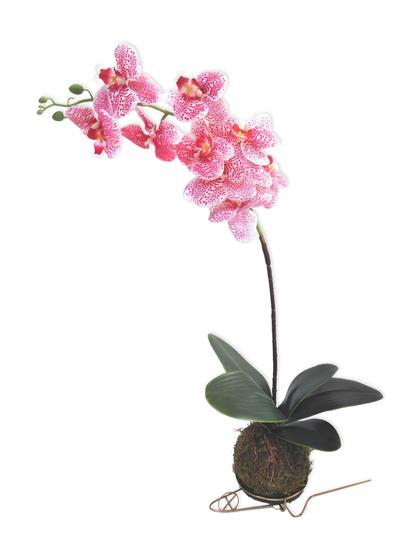 Kokedama De Orquídea Branca E Rosa Arranjo Flor Artificial - Flordecorar -  Plantas Artificiais - Magazine Luiza