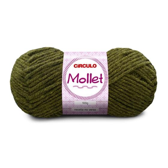 Imagem de LÃ MOLLET 100g (CORES LISAS) - CÍRCULO