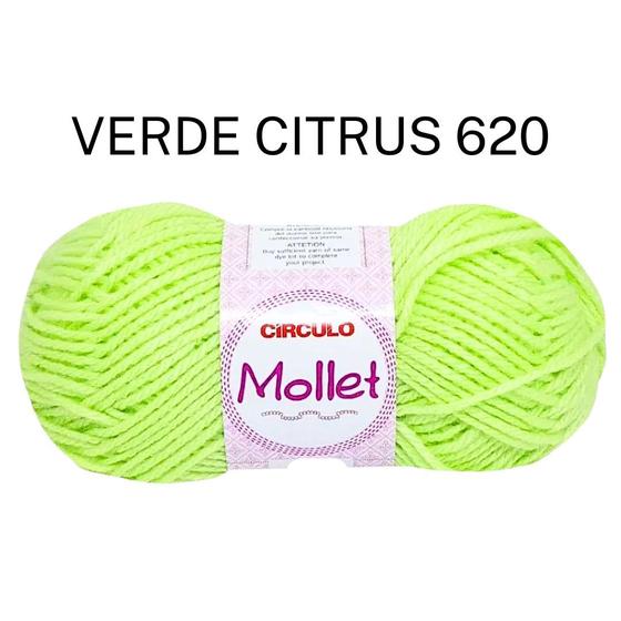 Imagem de Lã Mollet 40g - Circulo