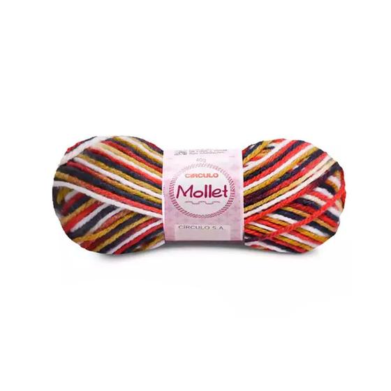 Imagem de Lã Mollet Círculo 40gr C/80 Metros - Multicor
