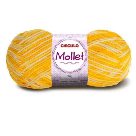 Imagem de Lã Mollet Círculo Cor Mesclada 100G -9368