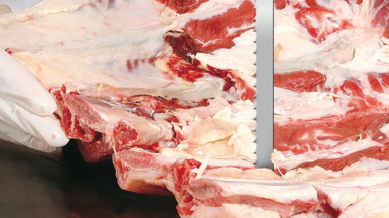 Imagem de Lamina Serra Fita P/ Carne E Osso 1,74M Starrett