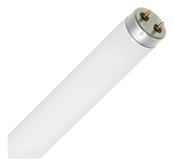 Imagem de Lâmpada Fluorescente Tubular T8 20w G13 Branco Frio 60cm