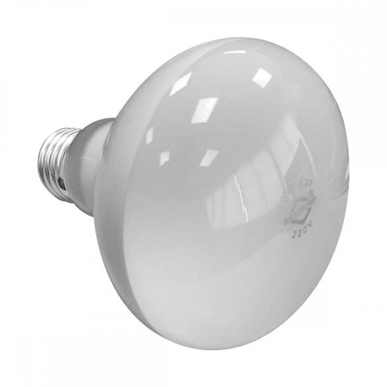 Imagem de Lampada Spotlight Brasfort R-80 100Wx220V.