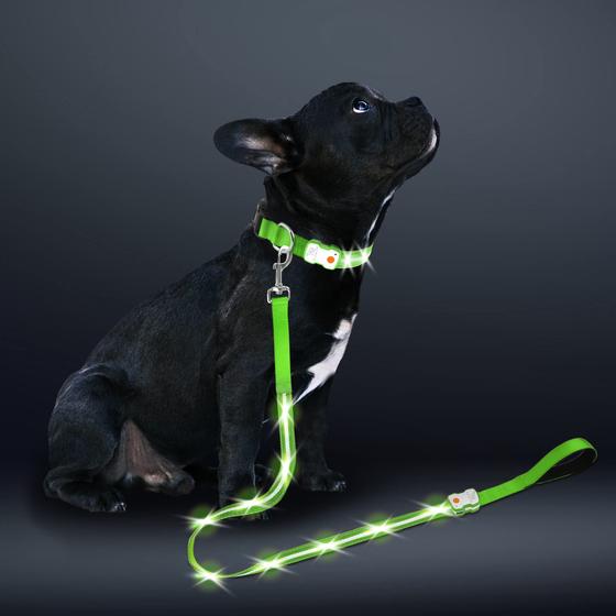 Imagem de Lavanda Pet LED Dog Leash - 5 pés com alça dupla macia 
