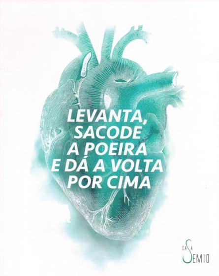 Imagem de Levanta, Sacode A Poeira e Dá A Volta Por Cima - Estação das Letras e Cores