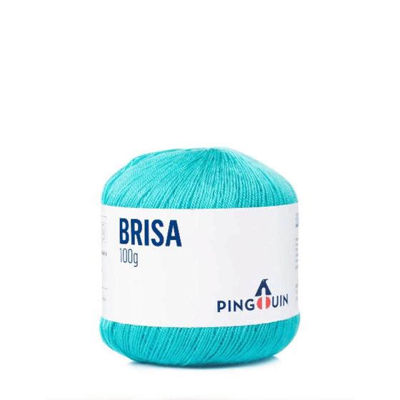 Imagem de Linha Brisa 100 Gramas Marca Pingouin