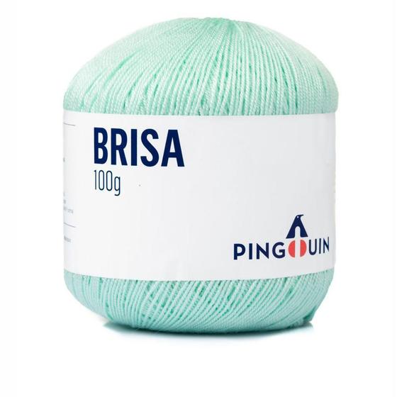 Imagem de Linha Pingouin Brisa para Crochê e Macramê 100% Acrílico com 100g