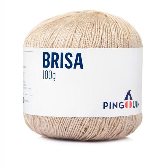 Imagem de Linha Pingouin Brisa para Crochê e Macramê 100% Acrílico com 100g