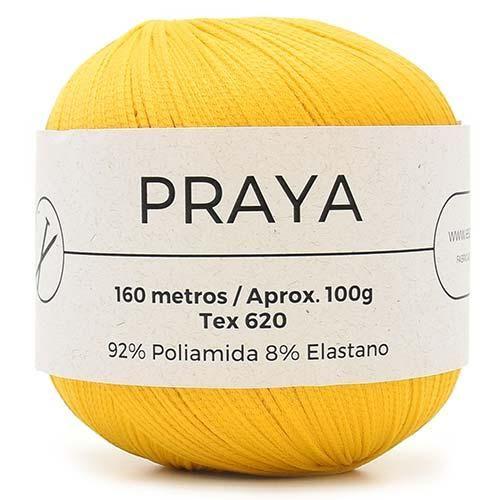 Imagem de Linha Praya 100g - Fio com Elasticidade