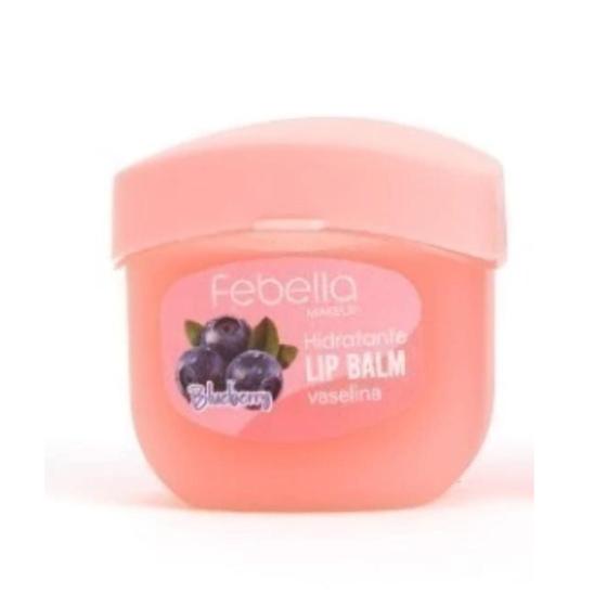 Imagem de Lip Balm 100% Hidratante Vaselina Febella