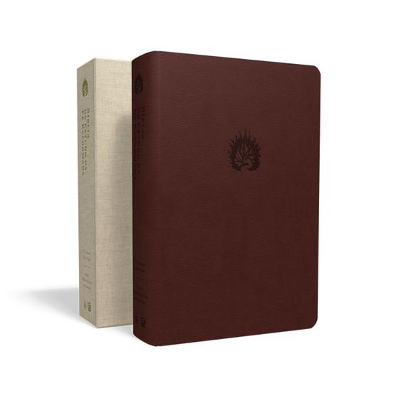 Livro - A Bíblia de Estudo da Fé Reformada Menor preço em Livro - A Bíblia de Estudo da Fé Reformada