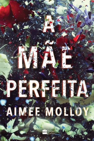 Imagem de Livro - A mãe perfeita