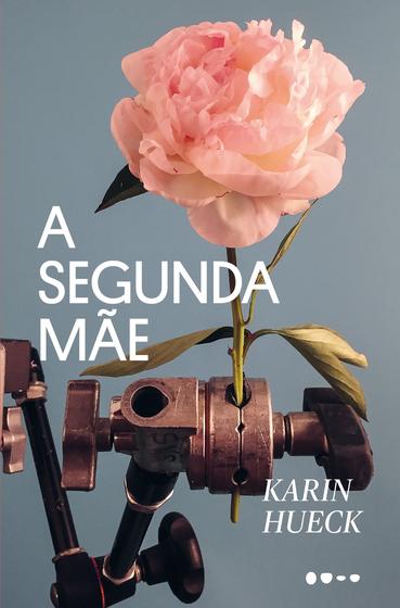 Imagem de Livro - A segunda mãe