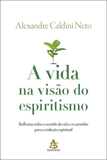 Imagem de Livro - A vida na visão do espiritismo