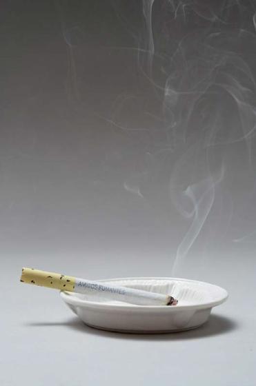 Imagem de Livro - Amigos fumantes