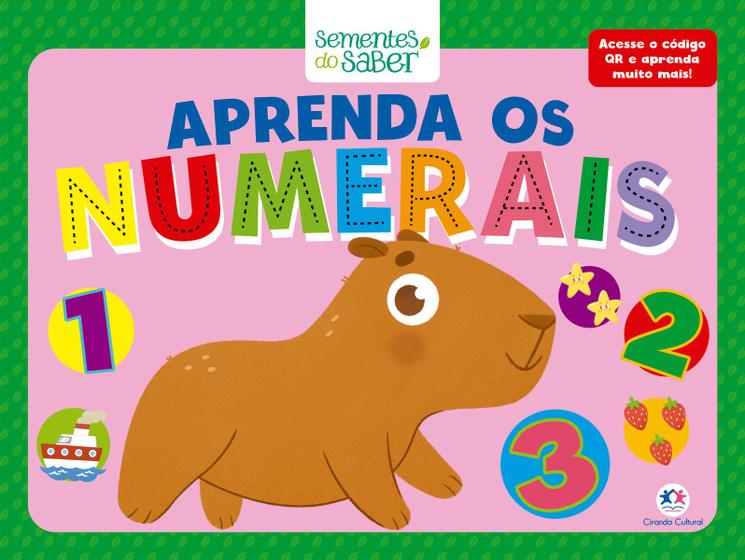 Imagem de Livro - Aprenda os numerais