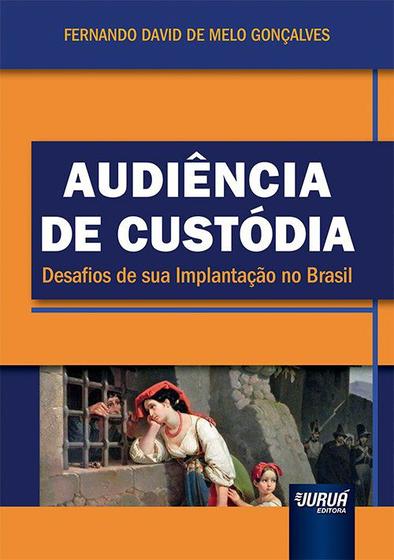 Imagem de Livro - Audiência de Custódia