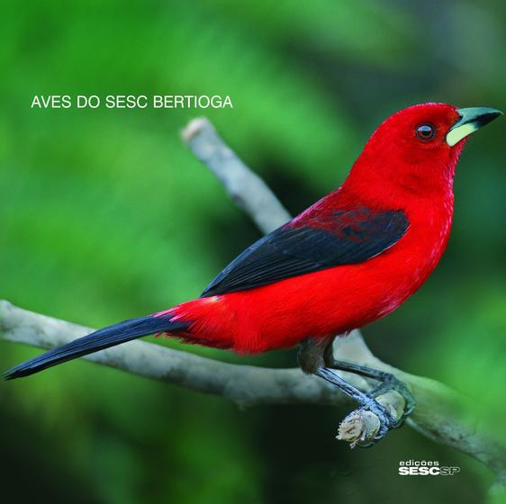 Imagem de Livro - Aves do Sesc Bertioga