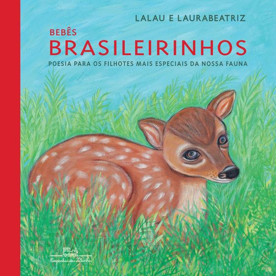 Imagem de Livro - Bebês brasileirinhos (brochura)