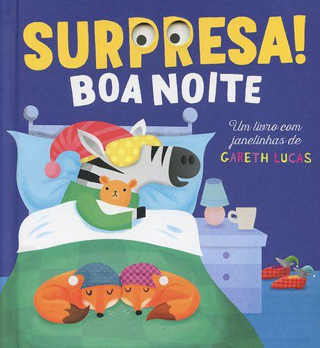 Livro - Boa noite : Surpresa! Menor preço em Livro - Boa noite : Surpresa!
