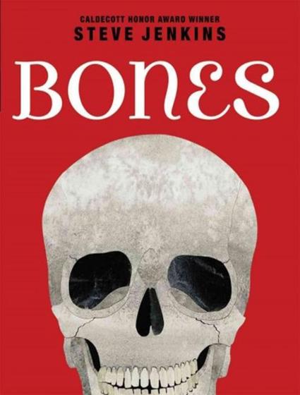 Imagem de Livro - Bones - skeletons and how they work