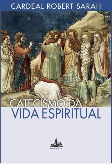 Imagem de Livro - Catecismo da vida espíritual