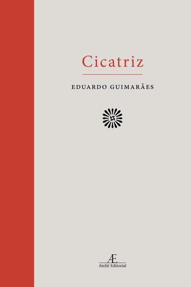 Imagem de Livro - Cicatriz: 1995-2015