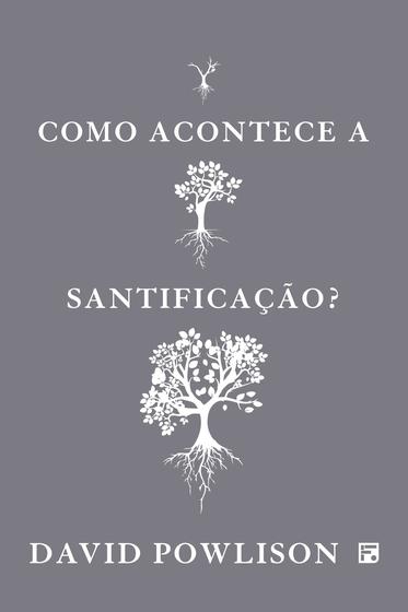 Imagem de Livro - Como acontece a Santificação?