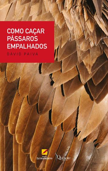 Imagem de Livro - Como caçar pássaros empalhados