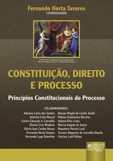 Imagem de Livro - Constituição, Direito e Processo