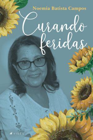 Imagem de Livro - Curando feridas - Viseu