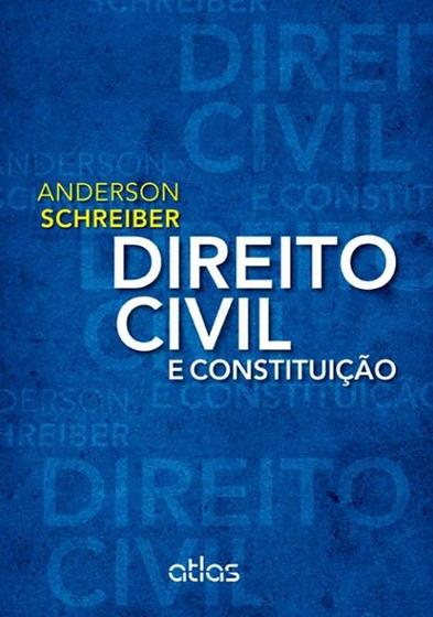 Imagem de Livro - DIREITO CIVIL E CONSTITUIÇÃO - 1ª Edição 2013