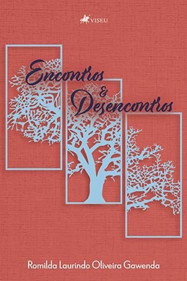 Imagem de Livro - Encontros e desencontros - Viseu