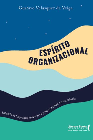 Imagem de Livro - Espírito organizacional