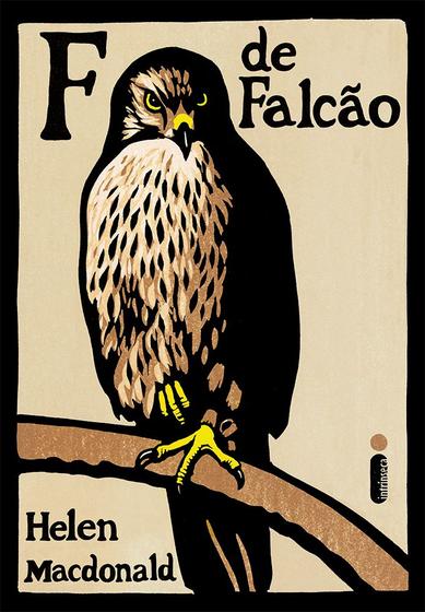 Imagem de Livro - F de falcão