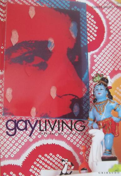 Imagem de Livro - Gay Living